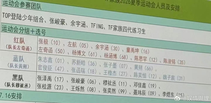 赛事直播-TF家族夏日运动会分组阵容曝光|皓极|涵坤|黄朔|苏新皓|志极_新浪体育_新浪新闻